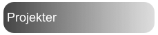 Projekter