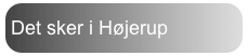Det sker i Højerup